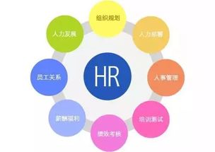 探索人力資源管理新趨勢 企業管理咨詢的實踐與挑戰